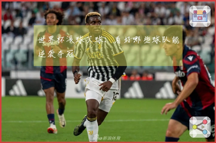 世界杯滚球买球:看好哪些球队能逆袭夺冠