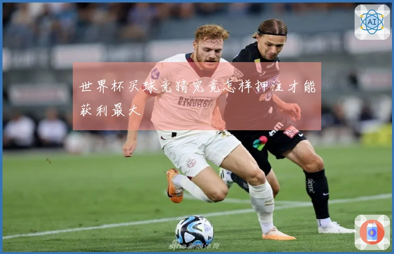 世界杯买球竞猜究竟怎样押注才能获利最大