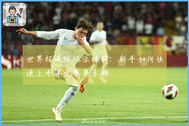 世界杯滚球玩法详解：新手如何快速上手享受赛事乐趣