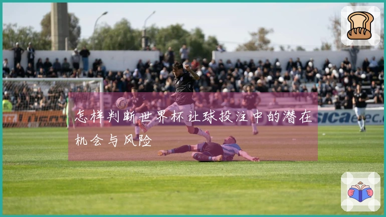 怎样判断世界杯让球投注中的潜在机会与风险