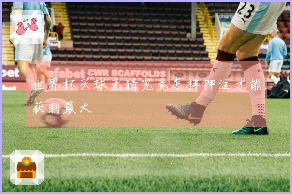 世界杯买球竞猜究竟怎样押注才能获利最大