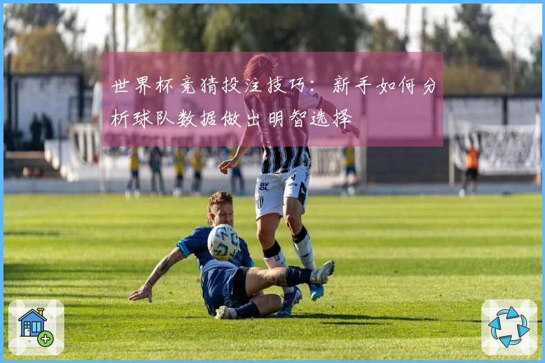 世界杯竞猜投注技巧：新手如何分析球队数据做出明智选择