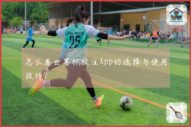 怎么看世界杯投注App的选择与使用技巧？