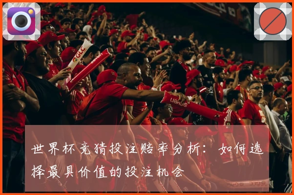 世界杯竞猜投注赔率分析：如何选择最具价值的投注机会