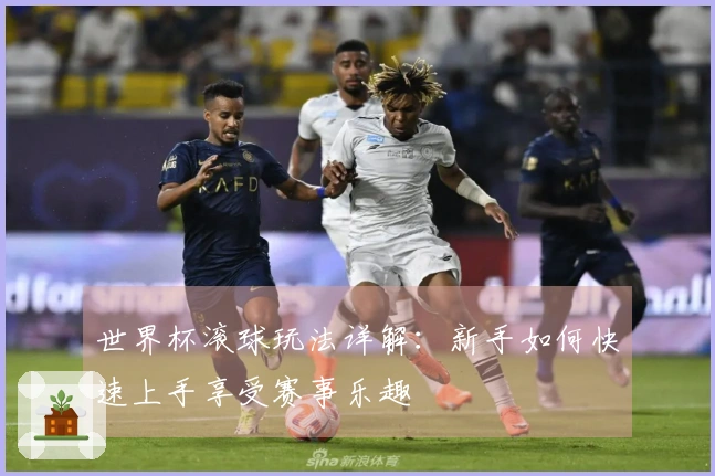 世界杯滚球玩法详解：新手如何快速上手享受赛事乐趣