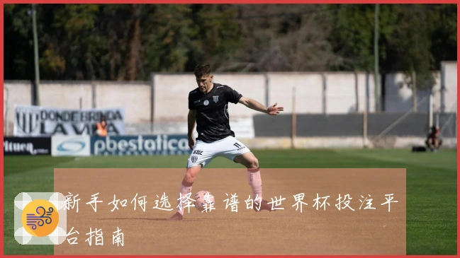 新手如何选择靠谱的世界杯投注平台指南