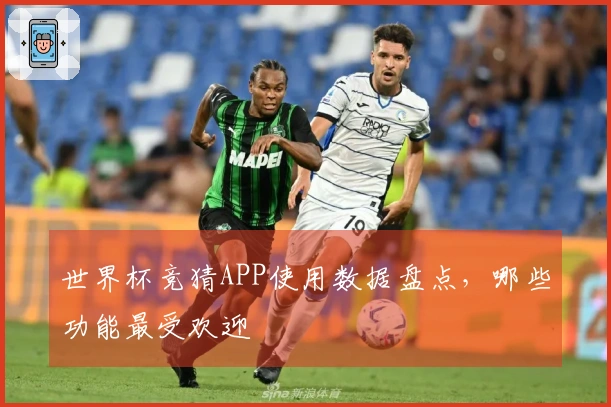 世界杯竞猜APP使用数据盘点，哪些功能最受欢迎