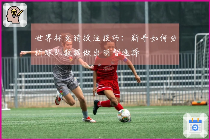 世界杯竞猜投注技巧：新手如何分析球队数据做出明智选择