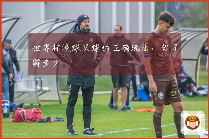世界杯滚球买球的正确玩法，你了解多少