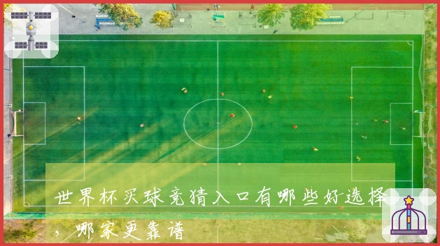 世界杯买球竞猜入口有哪些好选择，哪家更靠谱