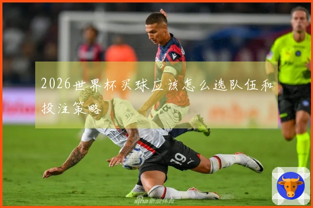 2026世界杯买球应该怎么选队伍和投注策略