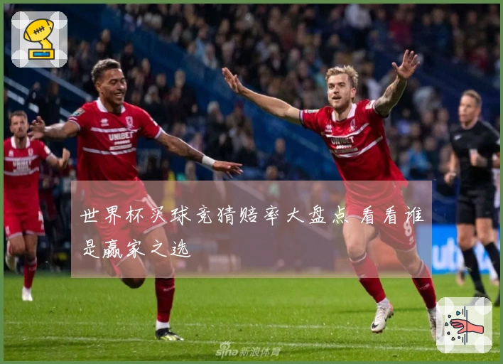 世界杯买球竞猜赔率大盘点 看看谁是赢家之选