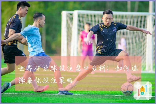 世界杯让球投注盘口分析：如何选择最优投注策略