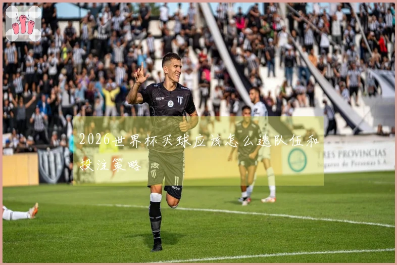 2026世界杯买球应该怎么选队伍和投注策略
