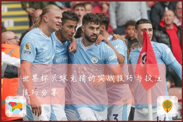 世界杯买球竞猜的实战技巧与投注技巧分享