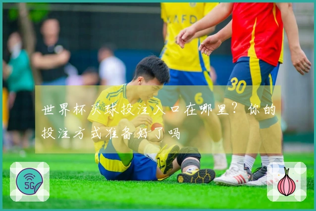 世界杯买球投注入口在哪里？你的投注方式准备好了吗