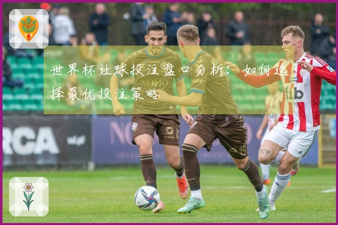 世界杯让球投注盘口分析：如何选择最优投注策略